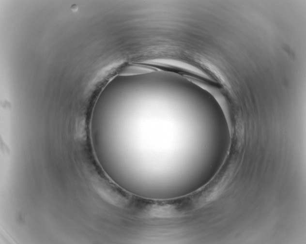 X0000090950403200708091332