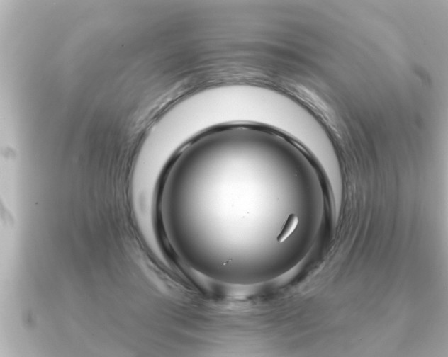 X0000090950405200708091332