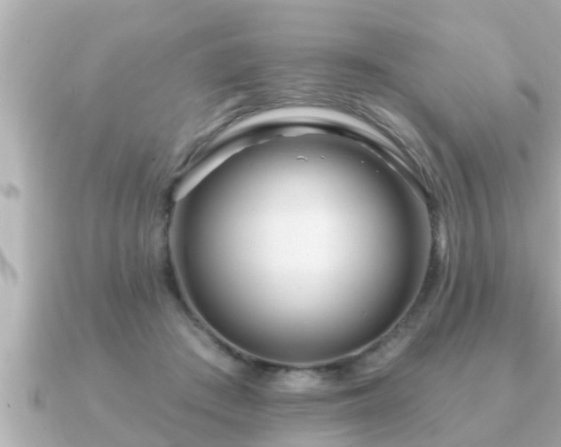 X0000090950409200708091332