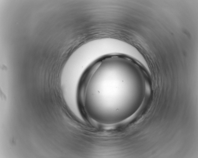 X0000090950412200708091332