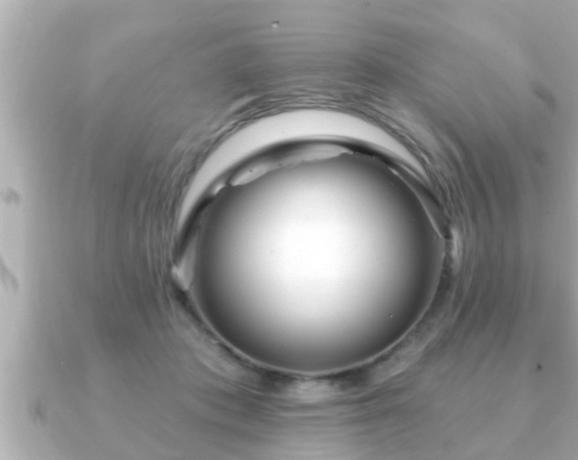 X0000090950413200708091332