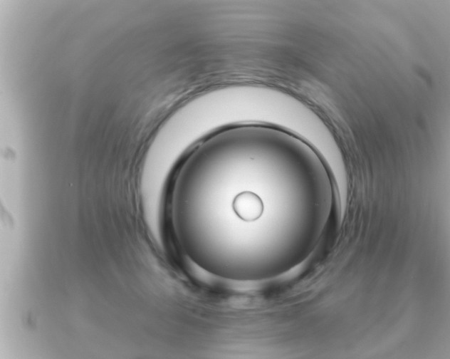 X0000090950415200708091332