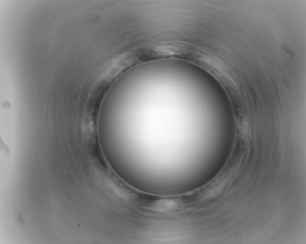 X0000090950418200708091332