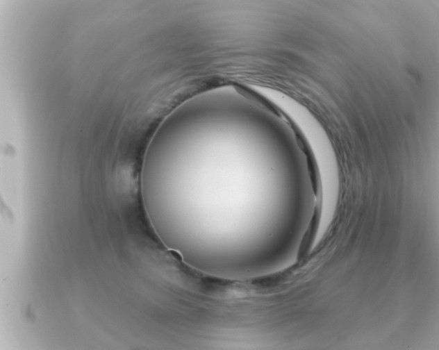 X0000090950420200708091332