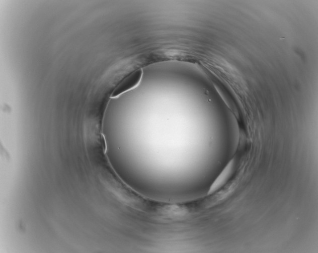X0000090950421200708091331