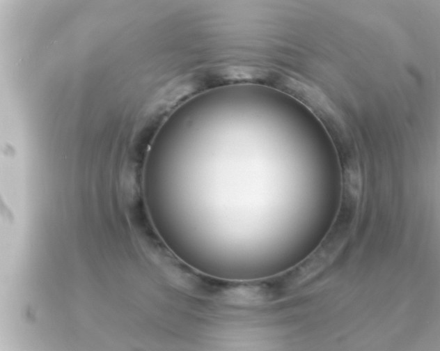 X0000090950422200708091331
