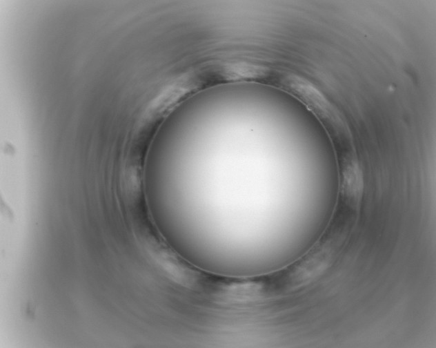 X0000090950426200708091331