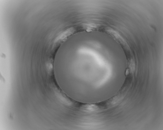 X0000090950427200708091331