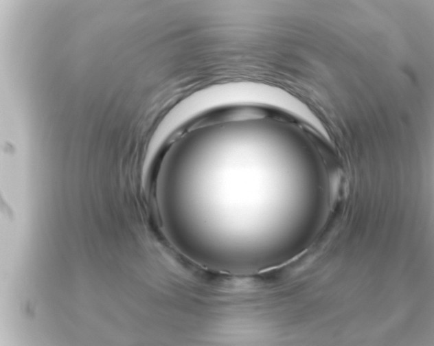 X0000090950428200708091331
