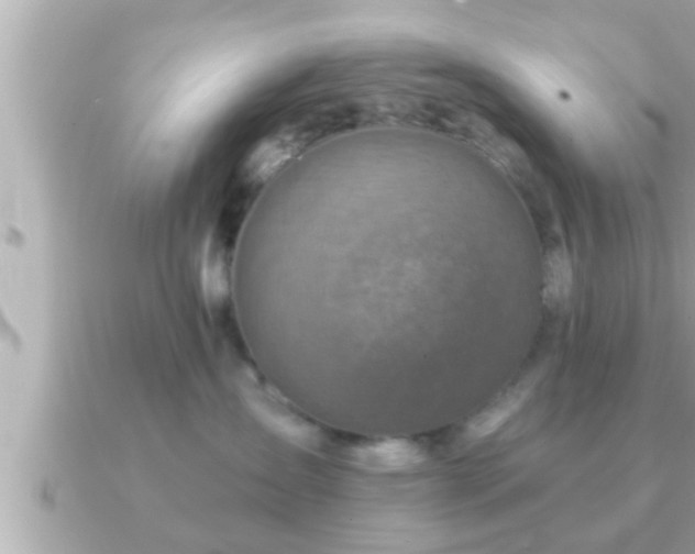 X0000090950431200708091331