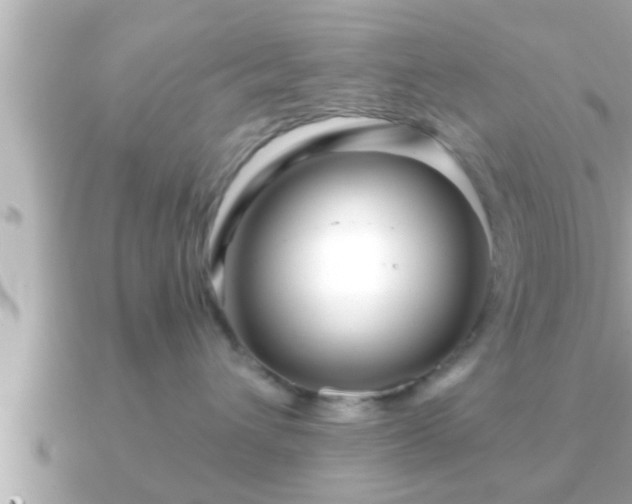 X0000090950432200708091331