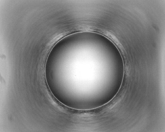 X0000090950433200708091331