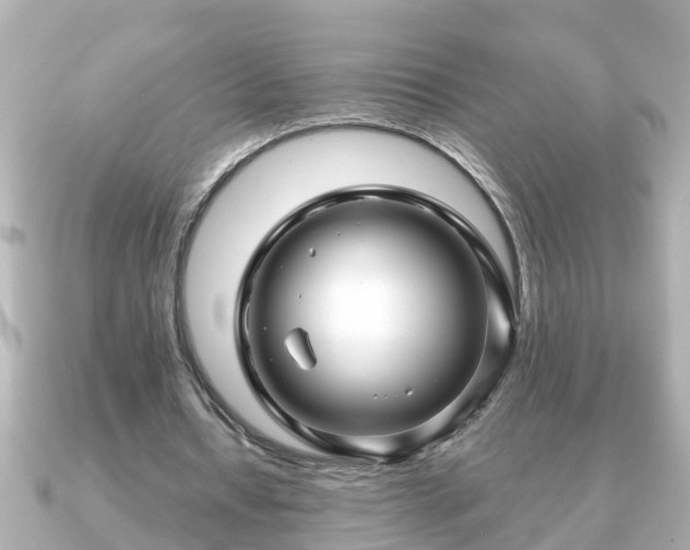 X0000090950434200708091331