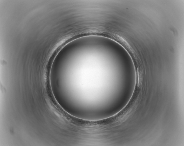 X0000090950435200708091331
