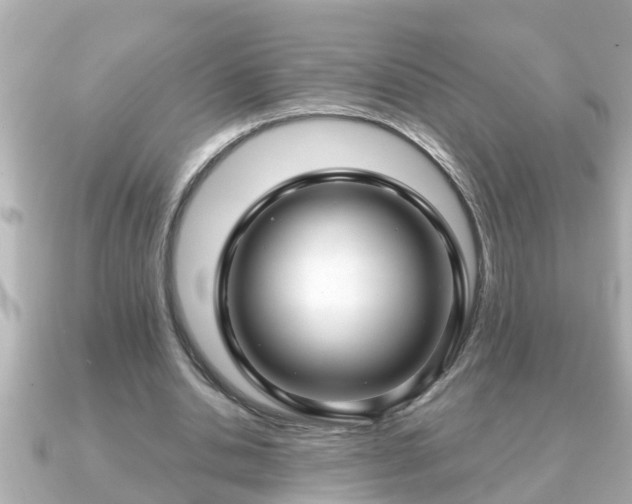 X0000090950438200708091331