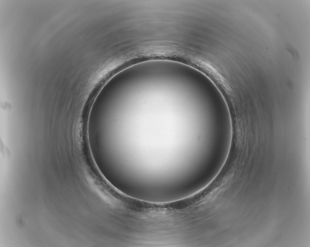 X0000090950439200708091331