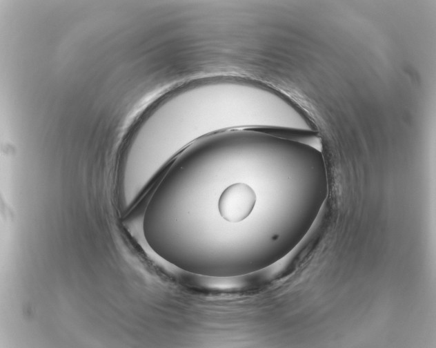 X0000090950440200708091331