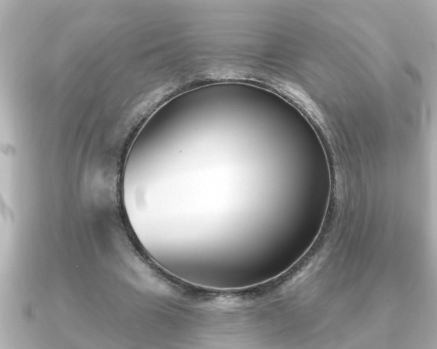 X0000090950441200708091331