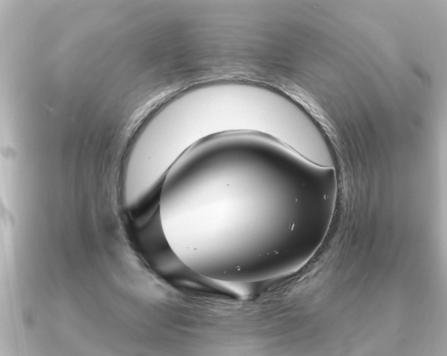 X0000090950442200708091331