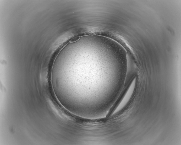 X0000090950443200708091331