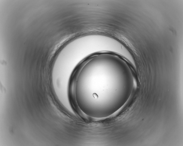 X0000090950444200708091331