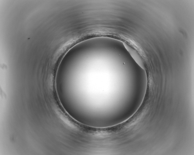 X0000090950445200708091331