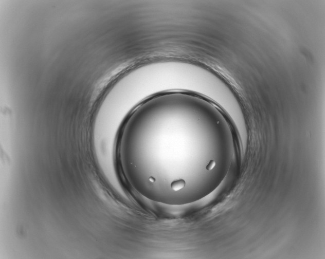 X0000090950446200708091331