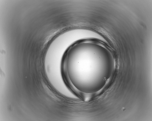X0000090950448200708091331