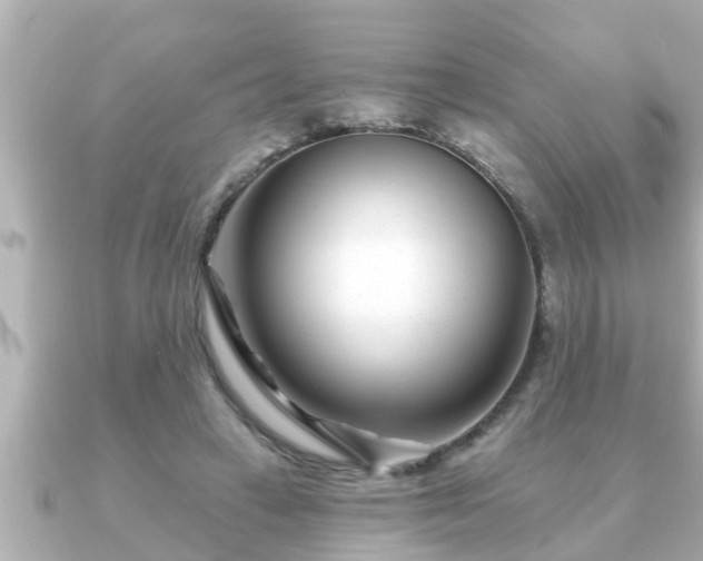 X0000090950449200708091331