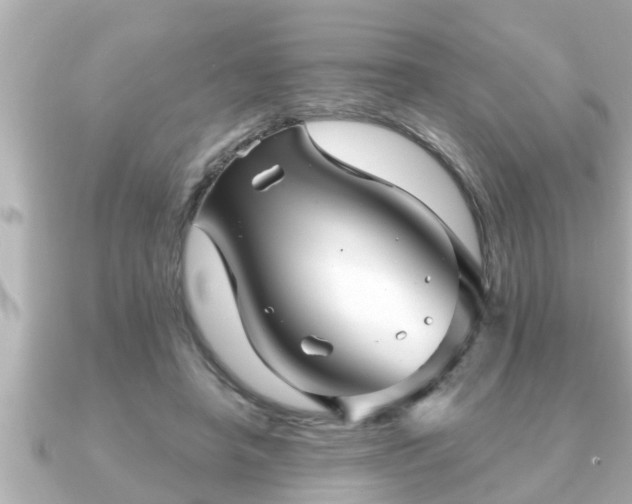 X0000090950450200708091331