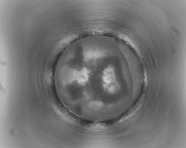 X0000090950451200708091331