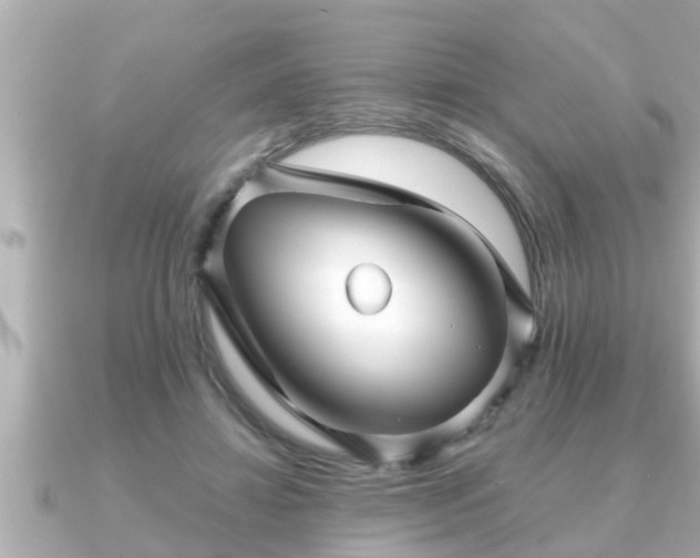 X0000090950452200708091331