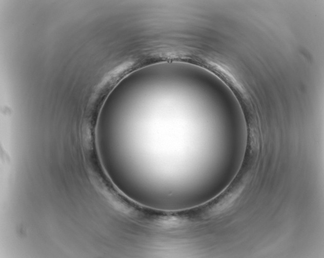 X0000090950453200708091331