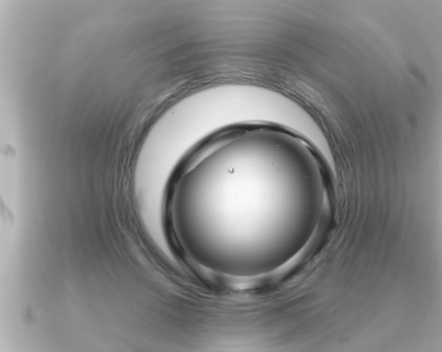 X0000090950456200708091331