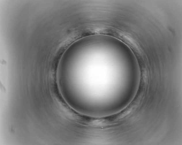 X0000090950461200708091331