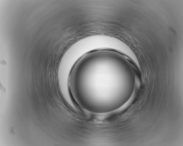 X0000090950464200708091331