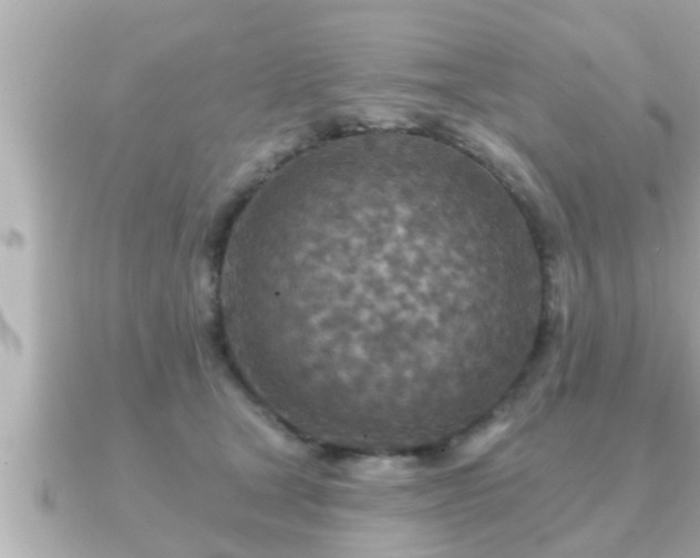 X0000090950465200708091331