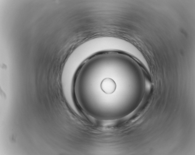 X0000090950466200708091331