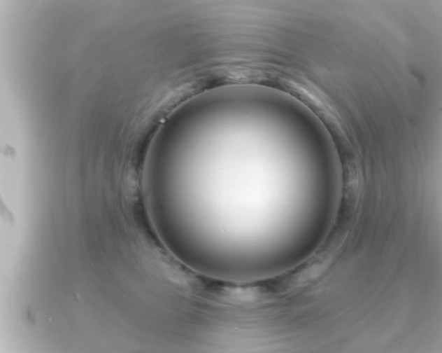 X0000090950469200708091331