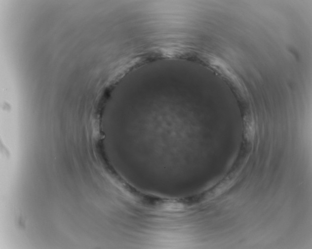 X0000090950471200708091331