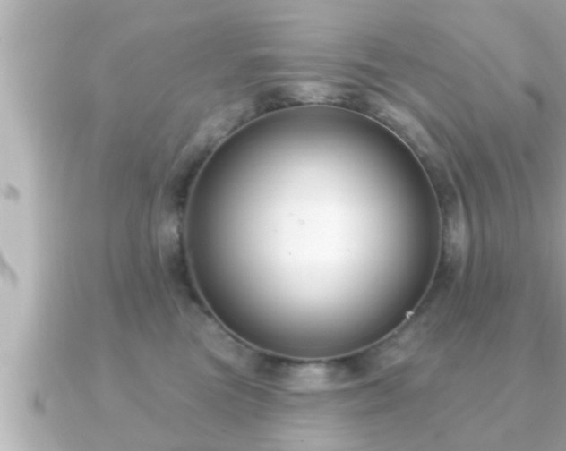 X0000090950473200708091331