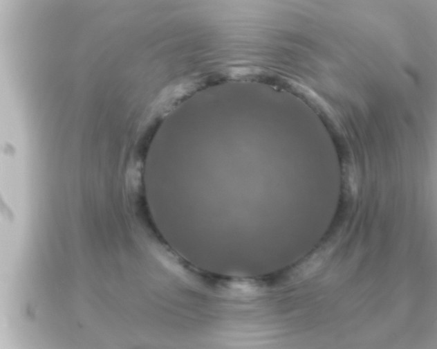 X0000090950475200708091331
