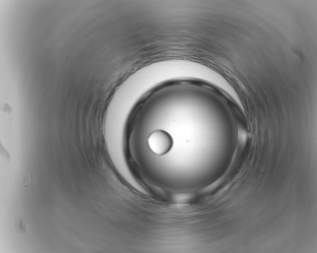 X0000090950476200708091331