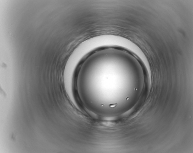 X0000090950478200708091331