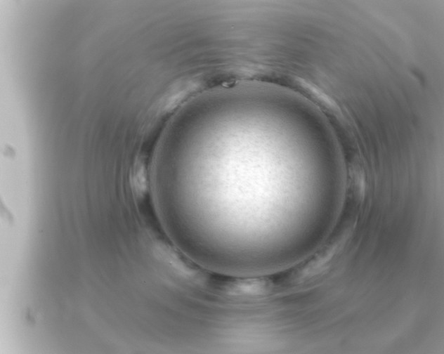 X0000090950479200708091331
