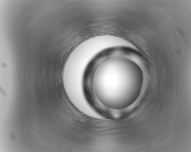 X0000090950480200708091331