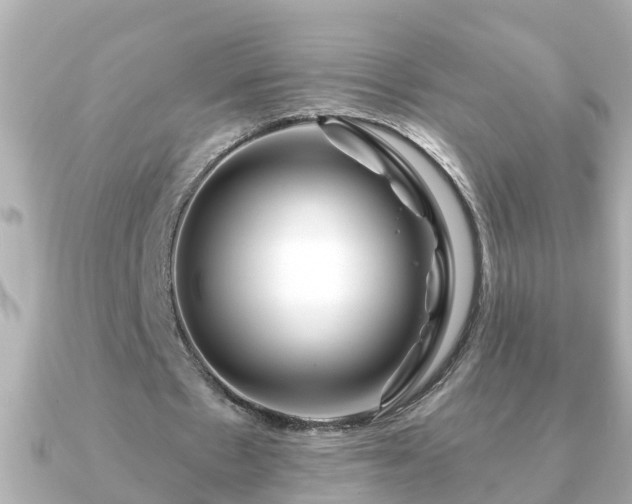 X0000090950481200708091331