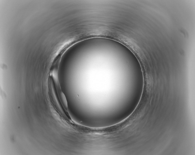 X0000090950482200708091331