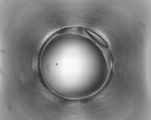 X0000090950483200708091331