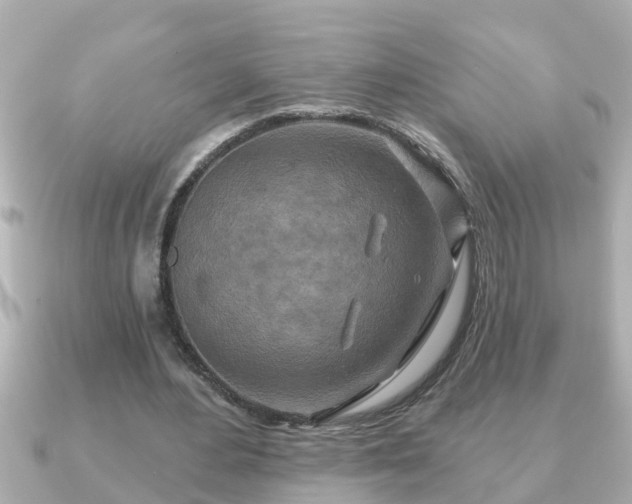 X0000090950484200708091331